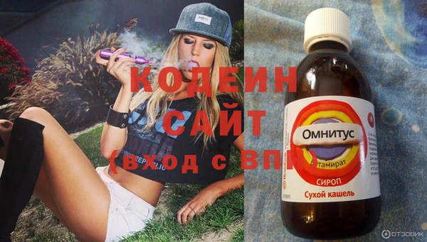 ECSTASY Богданович