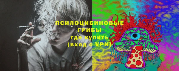 мяу мяу мука Арсеньев