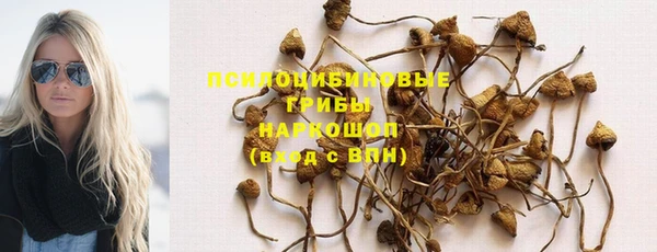 а пвп мука Богородицк