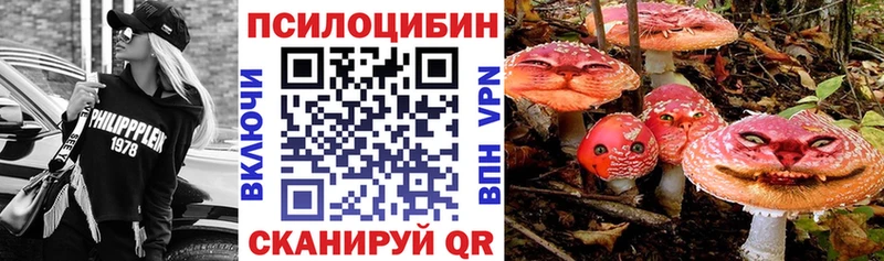 Купить закладки  Няндома  Псилоцибиновые грибы мицелий 